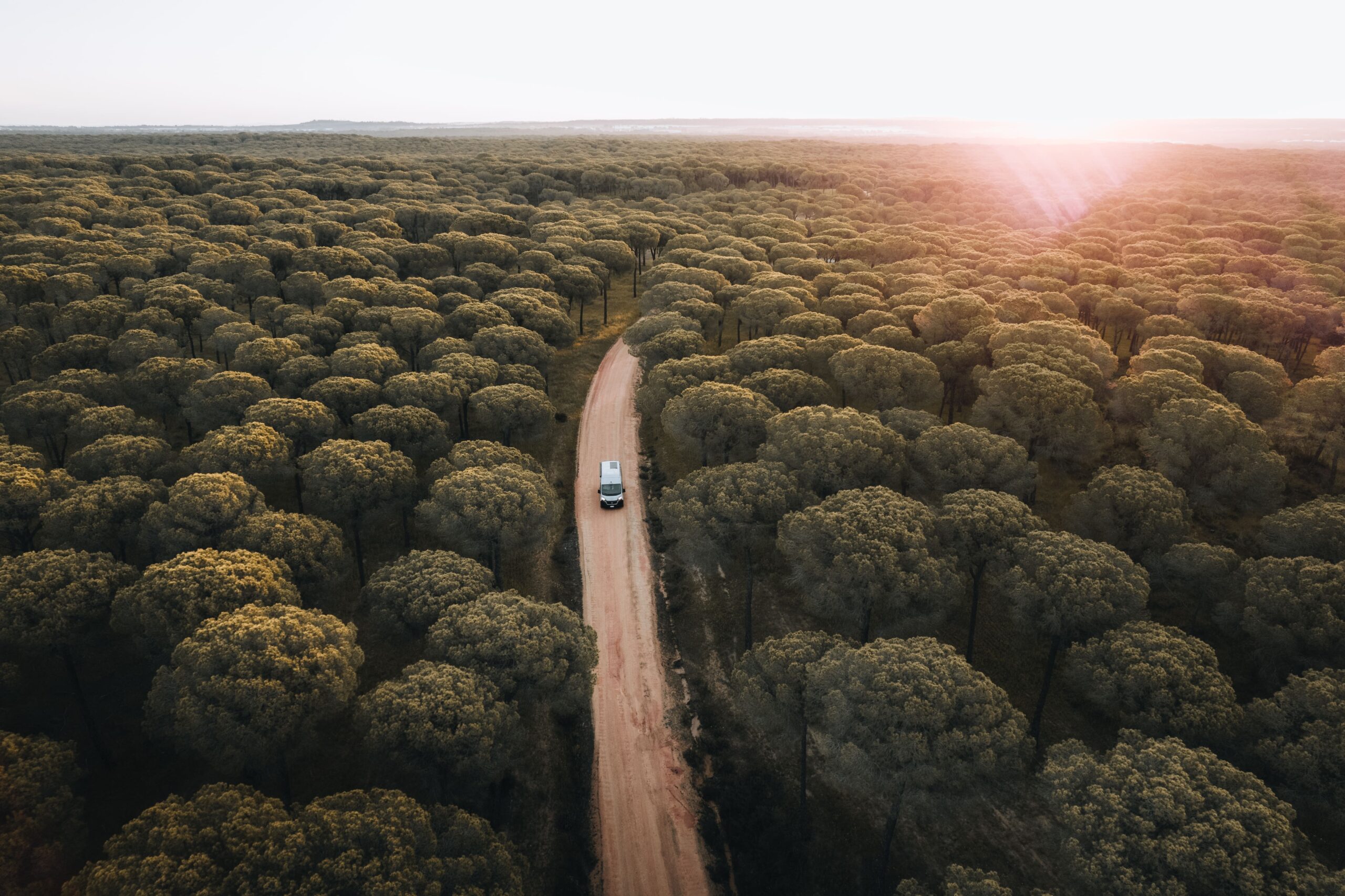 1724162166-8qdIx-Goboony-Vakjury